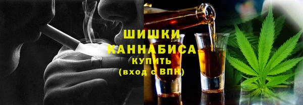 твердый Бородино