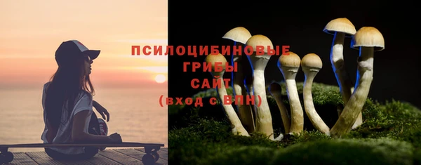гидропоника Богданович