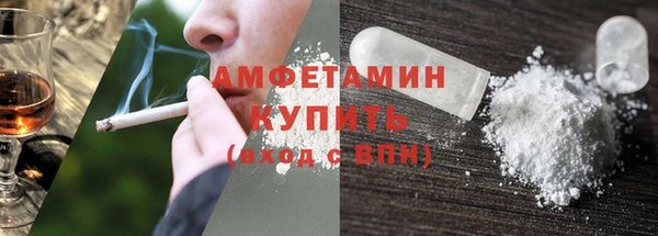 твердый Бородино