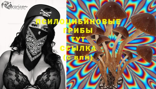 MDMA Богородицк